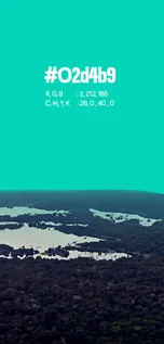 Palette card: teal #02d4b9 over the Amazon rainforest