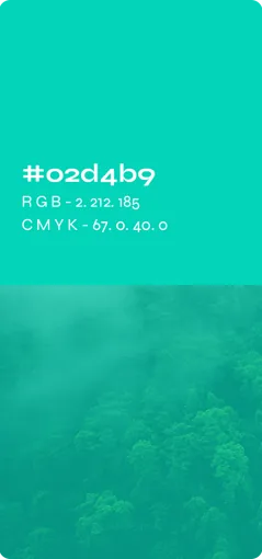 Palette card: teal #02d4b9 over a misty forest